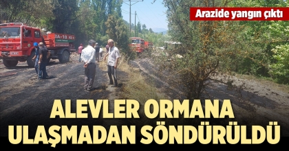 ANIZ YANGINI ORMANA SIÇRAMADAN SÖNDÜRÜLDÜ