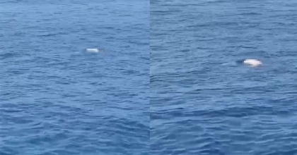 ANTALYA'DA DENİZ ÜZERİNDE ERKEK CESEDİ BULUNDU