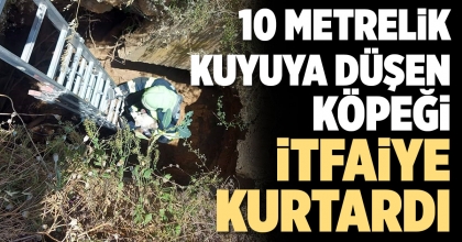 ARAZİDEKİ KUYUYA DÜŞEN KÖPEĞİ İTFAİYE KURTARDI