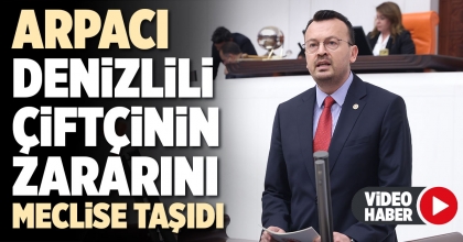 ARPACI DENİZLİLİ ÇİFTÇİNİN ZARARINI MECLİSE TAŞIDI