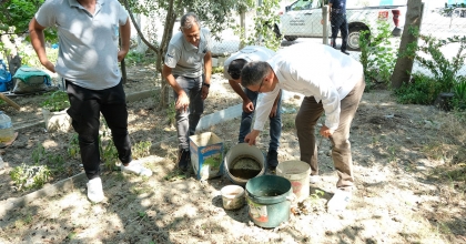 ARTAN SİVRİSİNEK POPÜLASYONU HASTANELERE BAŞVURULARI ARTIRDI