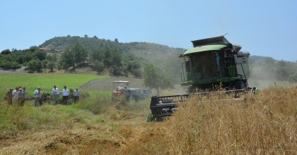 ARPA VE BUĞDAY HASADI BAŞLADI