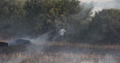 30 DÖNÜMLÜK EKİN TARLASI KÜL OLDU
