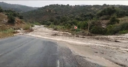 SEL SULARINA 4 BÜYÜKBAŞ HAYVAN VE 1 TRAKTÖR KAPILDI