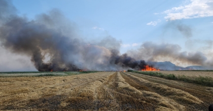 800 DEKAR ARAZİ KÜLE DÖNDÜ