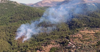 MİLAS’TA ORMAN YANGINI
