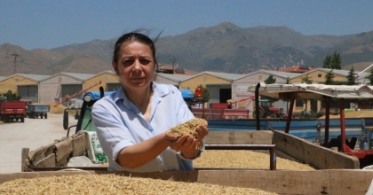 ARPA ÜRETİCİLERİ ALIM FİYATLARINA TEPKİLİ