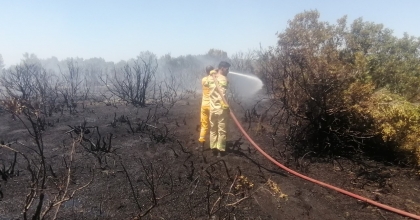 ORMAN YANGINI KONTROL ALTINDA