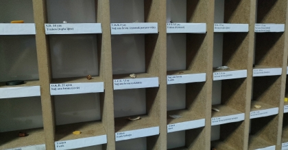 ÇOCUKLARI ÖLÜMLE BURUN BURUNA GETİREN SIRA DIŞI KOLEKSİYON