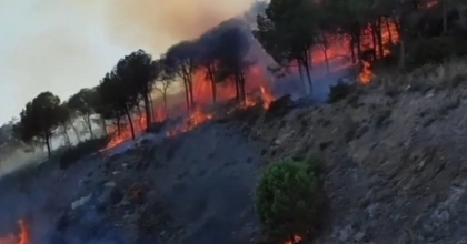 ORMAN YANGINI KONTROL ALTINA ALINDI