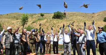 450 KINALI KEKLİK DOĞAYA SALINDI