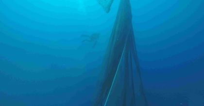 8 BİN METREKARE HAYALET AĞ ÇIKARILDI