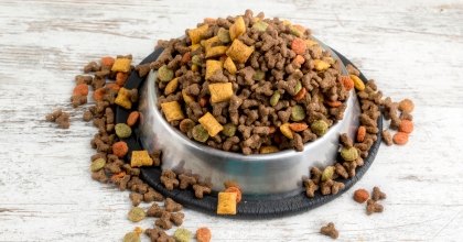 KEDİ KÖPEK MAMASI İHRACATINDA YÜZDE 64'LÜK ARTIŞ