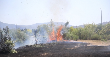 OTLUK VE SAZLIK ALANDA ÇIKAN YANGIN SÖNDÜRÜLDÜ