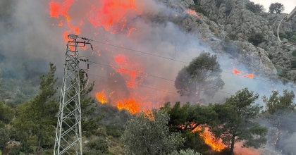 MUĞLA'DA ORMAN YANGINI! SÖNDÜRME ÇALIŞMASI SÜRÜYO