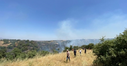 AĞAÇLIK ALANDA ÇIKAN YANGIN KORKUTTU
