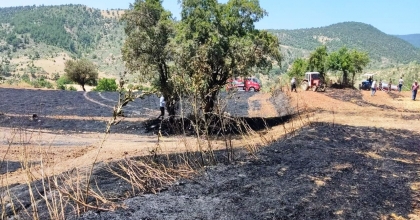 EKİLİ ALANDAKİ YANGIN ORMANA SIÇRAMADAN SÖNDÜRÜLDÜ