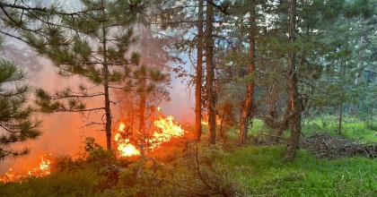 ORMAN YANGINI BÜYÜMEDEN SÖNDÜRÜLDÜ