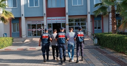 ZEYTİNYAĞI HIRSIZLARI KISKIVRAK YAKALANDI