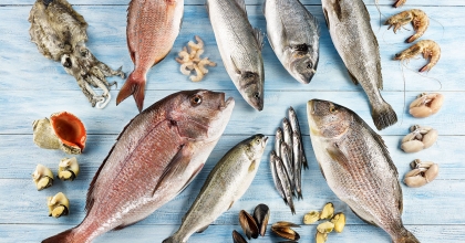 6 AYLIK İHRACAT 829 MİLYON DOLAR OLDU