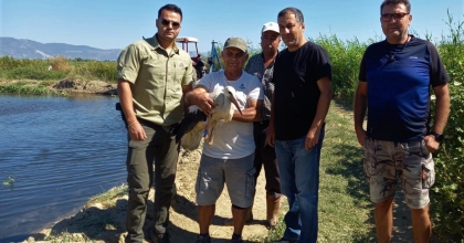 ZİFTE BULANAN LEYLEK KURTARILDI