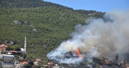 İZMİR'DE ORMAN YANGINI! MÜDAHALE SÜRÜYOR