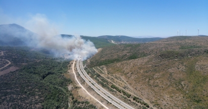 YANAN ARAÇTAN ALEVLER ORMANA SIÇRADI
