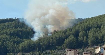 MUĞLA'DA ORMAN YANGINI! MÜDAHALE SÜRÜYOR