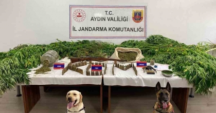 AYDIN'DA 6 AYDA 86 KİŞİ UYUŞTURUCUDAN TUTUKLANDI