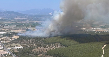 BODRUM HAVALİMANI KAVŞAĞINDA YANGIN