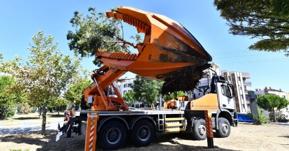 BUCA METROSUNDA İSTASYON İNŞAATLARI ÖNCESİNDE AĞAÇLAR GEÇİCİ OLARAK TAŞINIYOR