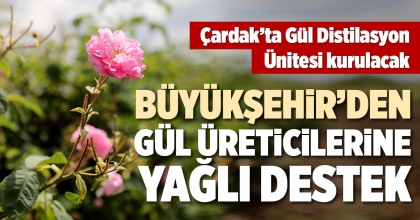 BÜYÜKŞEHİR'DEN GÜL ÜRETİCİLERİNE YAĞLI DESTEK