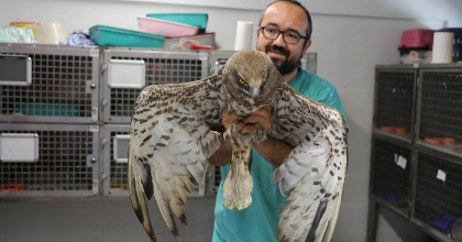 BÜYÜKŞEHİR YABAN HAYATINA DA SAHİP ÇIKIYOR 