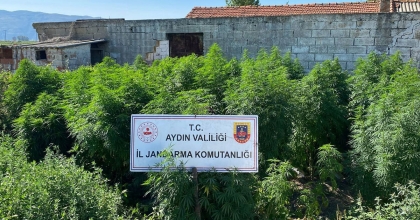 ÇİFTLİK EVİNE UYUŞTURUCU BASKINI: 1 TUTUKLAMA
