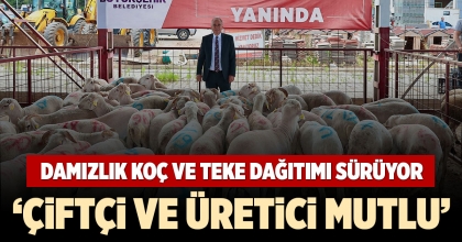 DAMIZLIK KOÇ VE TEKE DAĞITIMI SÜRÜYOR