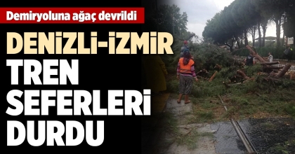 DEMİRYOLUNA DEVRİLEN AĞAÇ DENİZLİ-İZMİR TREN SEFERLERİNİ DURDURDU