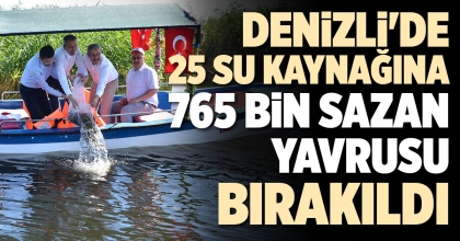 DENİZLİ'DE 25 SU KAYNAĞINA 765 BİN SAZAN YAVRUSU BIRAKILDI