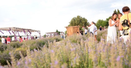 DİDİM’İN MİS KOKULU LAVANTA FESTİVALİ’NE SAYILI GÜNLER KALDI   