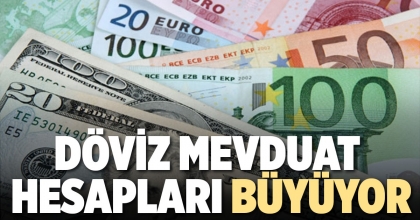 DÖVİZ MEVDUAT HESAPLARI BÜYÜYOR