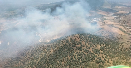 EKİN TARLASINDA BAŞLAYAN YANGIN ORMANA SIÇRADI