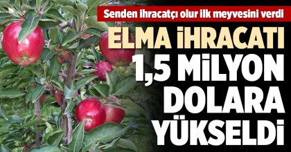 ELMA İHRACATI 1,5 MİLYON DOLARA YÜKSELDİ