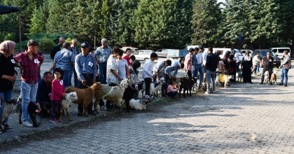EMET’TE OĞLAKLAR PODYUMA ÇIKTI   