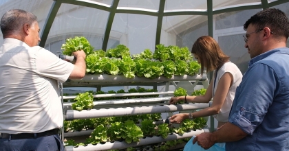 EVRASERA'DA MARULLAR HASAT EDİLDİ 