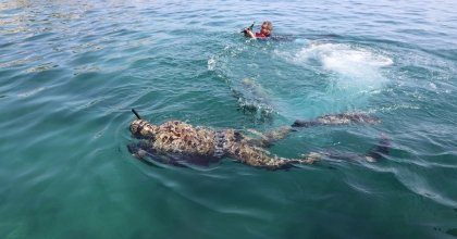 GÜNDOĞAN'DA DENİZ DİBİ TEMİZLİĞİ