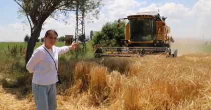 HUBUBAT HASADI ARPA HASADI İLE BAŞLADI   