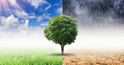 Bilim İnsanları İklim İçin Ne Diyor?