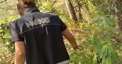 İZMİR'DE ZEHİR TARLASINA POLİS BASKINI 