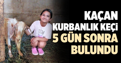 KAÇAN KURBANLIK KEÇİ 5 GÜN SONRA BULUNDU