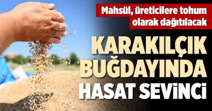 KARAKILÇIK BUĞDAYINDA HASAT SEVİNCİ
