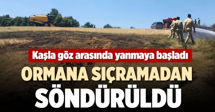 KAŞLA GÖZ ARASINDA YANMAYA BAŞLADI